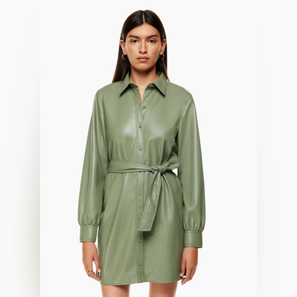Aritzia Green Mini Dress - Picture 3 of 12